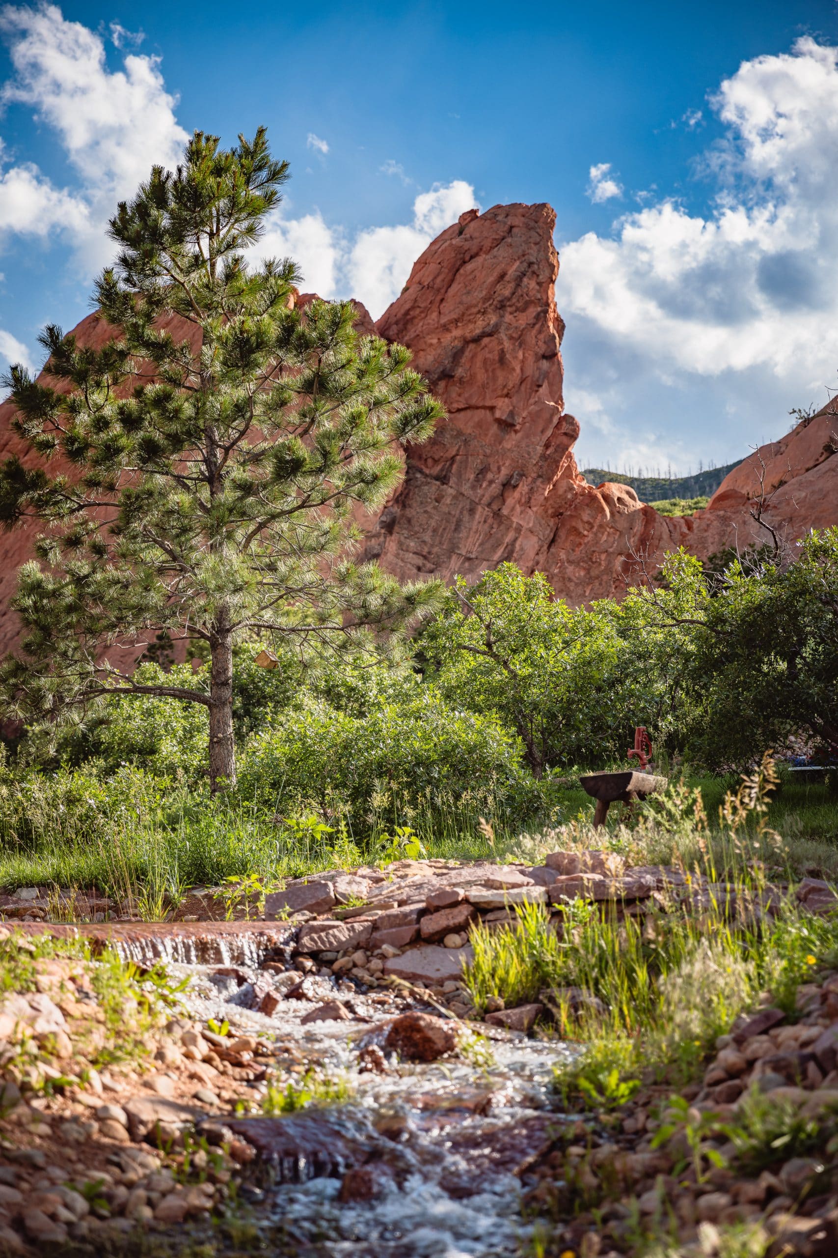 flying-w-ranch-colorado-springs-4-2